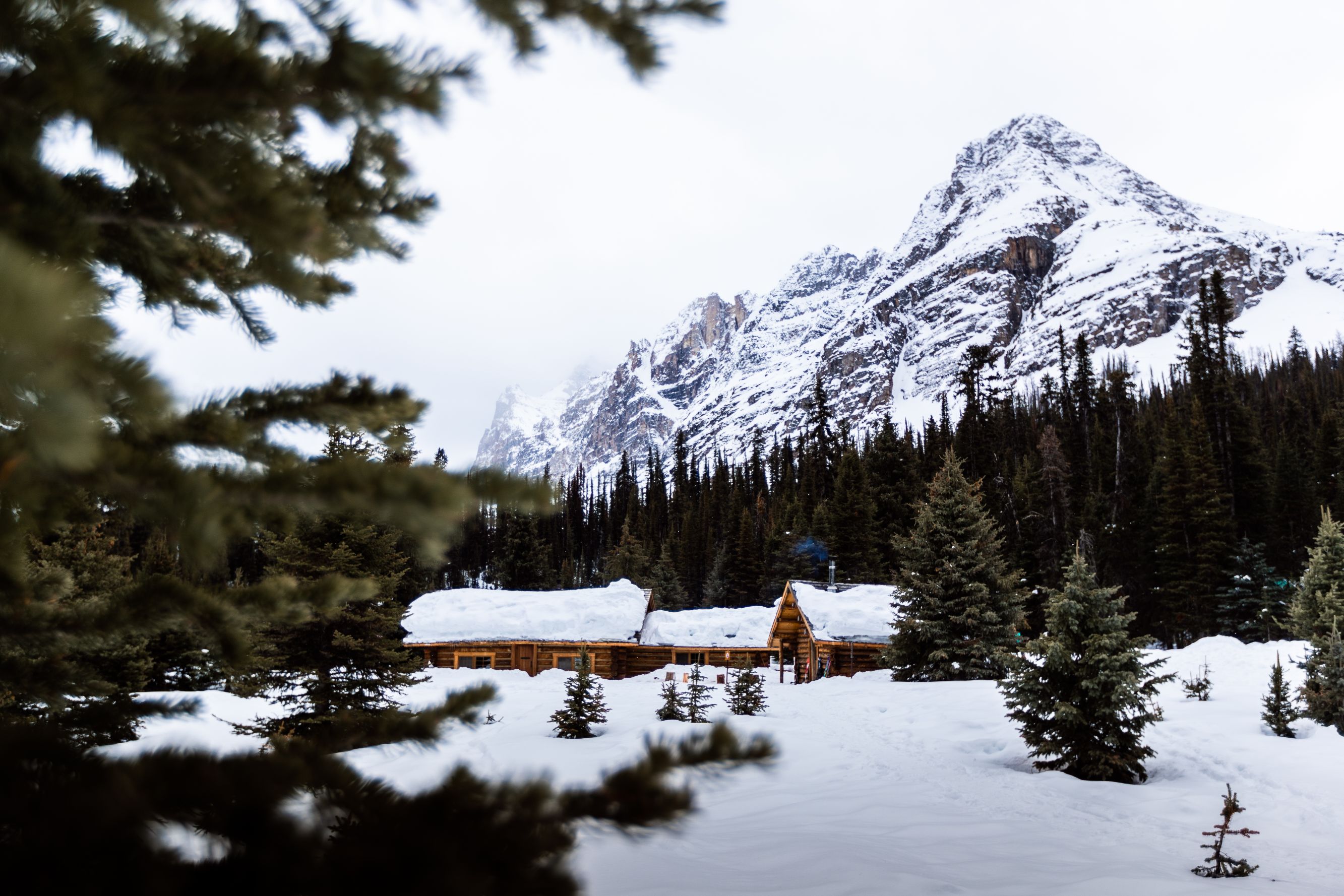Log cabin set amongst snowy forest and mountains. 