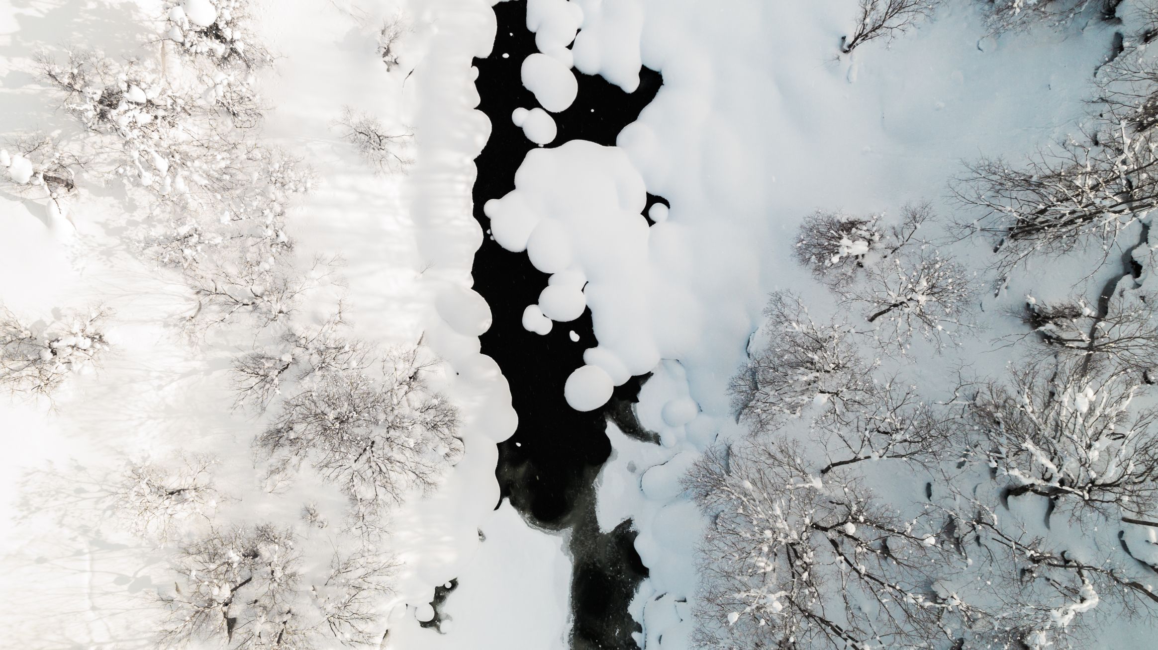 Aerial view of snowing river and forest.