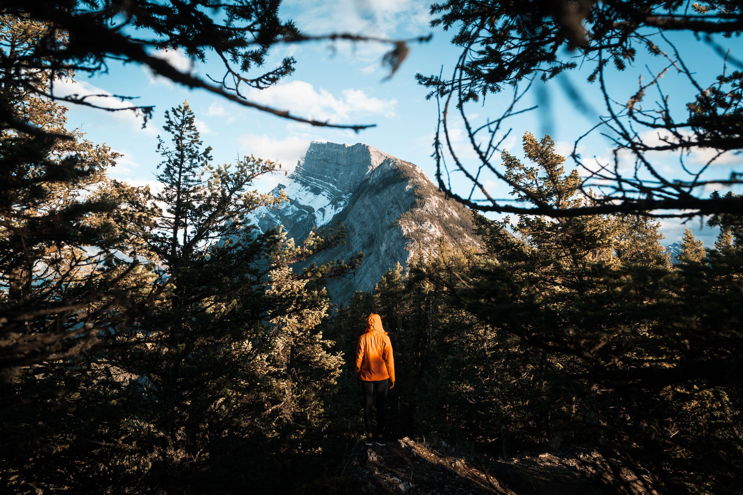 A figure walking through forest towards rocky mountain. 