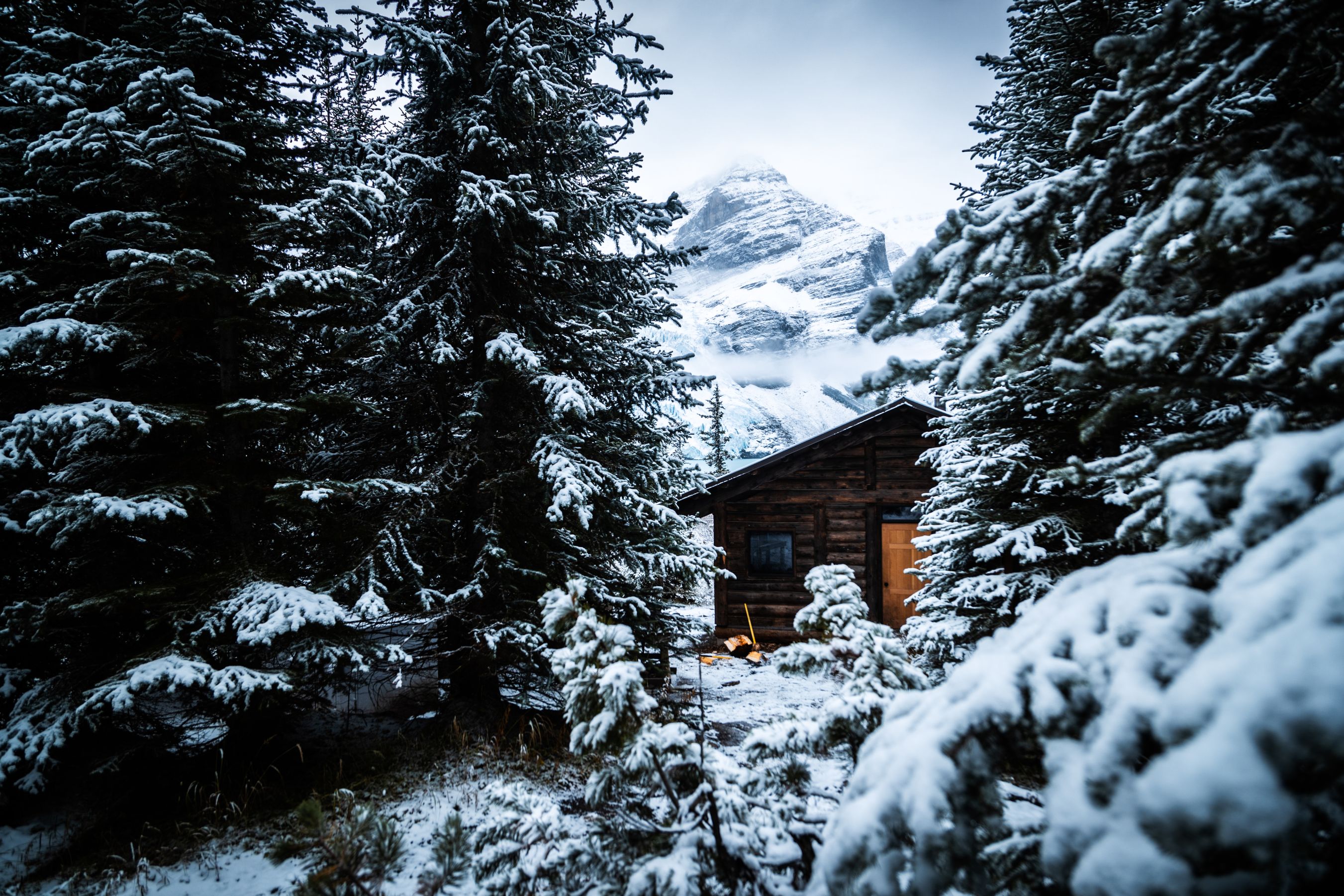 Small log cabin set amongst snowy trees. 
